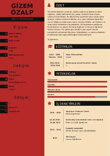 Müzik Öğretmeni Cv Örnekleri cv indir